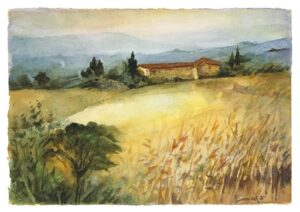 Campagna con grano