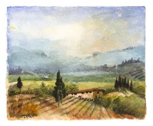 Countryside with vines