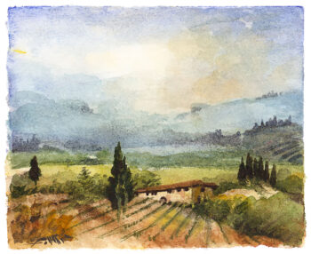 Campagna con viti - Acquerelli - Mamdoh Badran