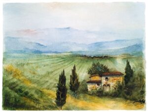 Campagna e vigneti
