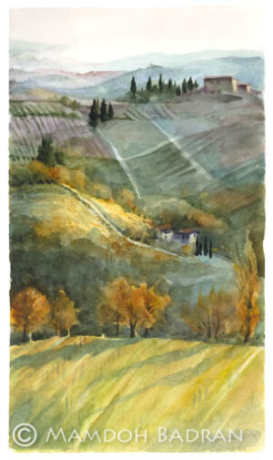 Campagna San Gimignano verticale