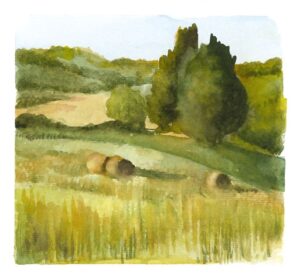 Cantiati Tuscany #2
