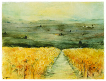 Vigne - Acquerelli - Mamdoh Badran