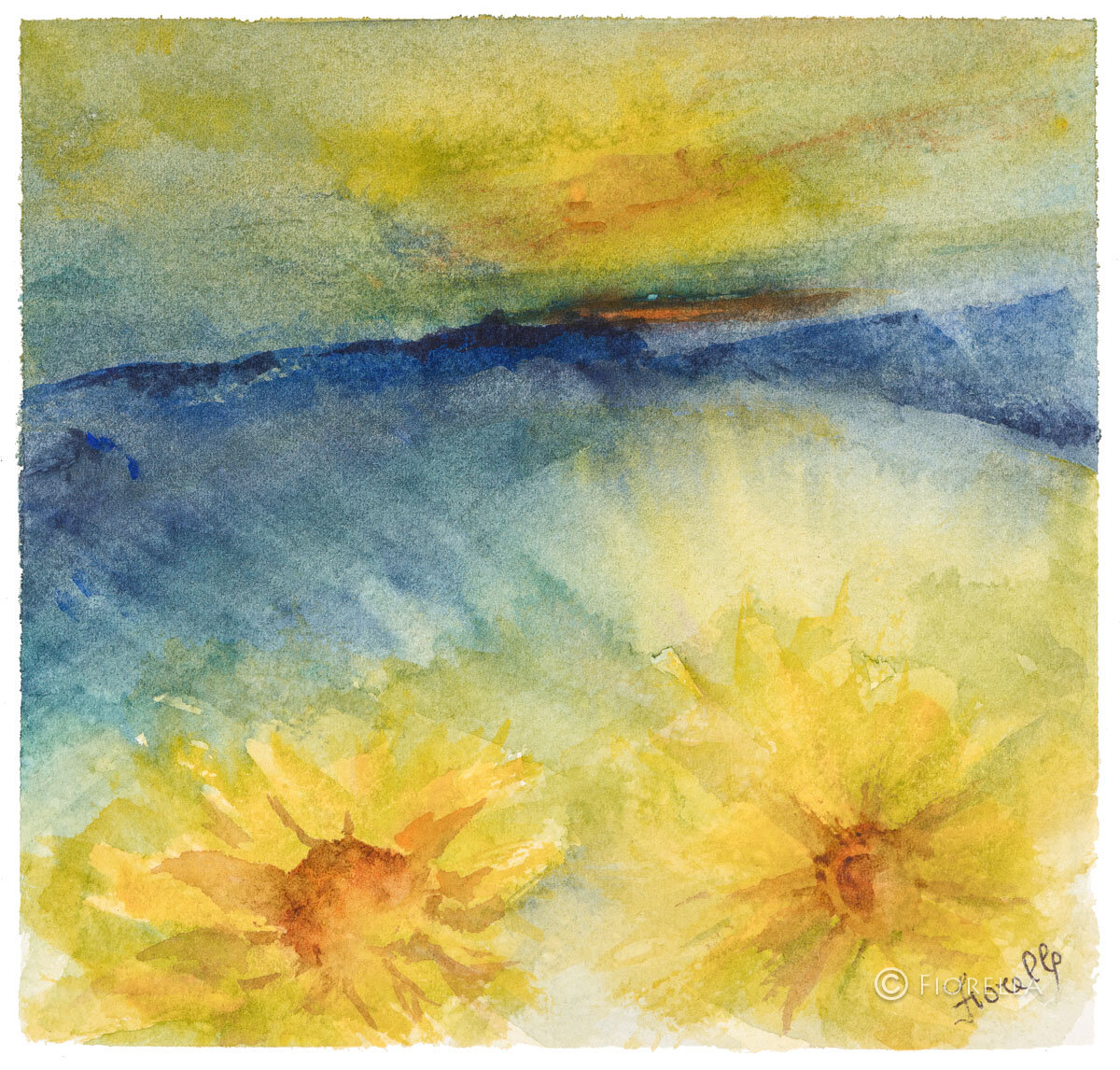 Vivaci macchie di girasoli gialli in primo piano su sfondo di tramonto collinare toscano.